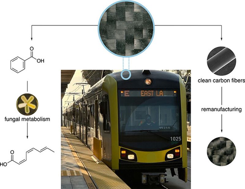 Researchers develop a biotechnological process to recycle carbon fibre reinforced polymers